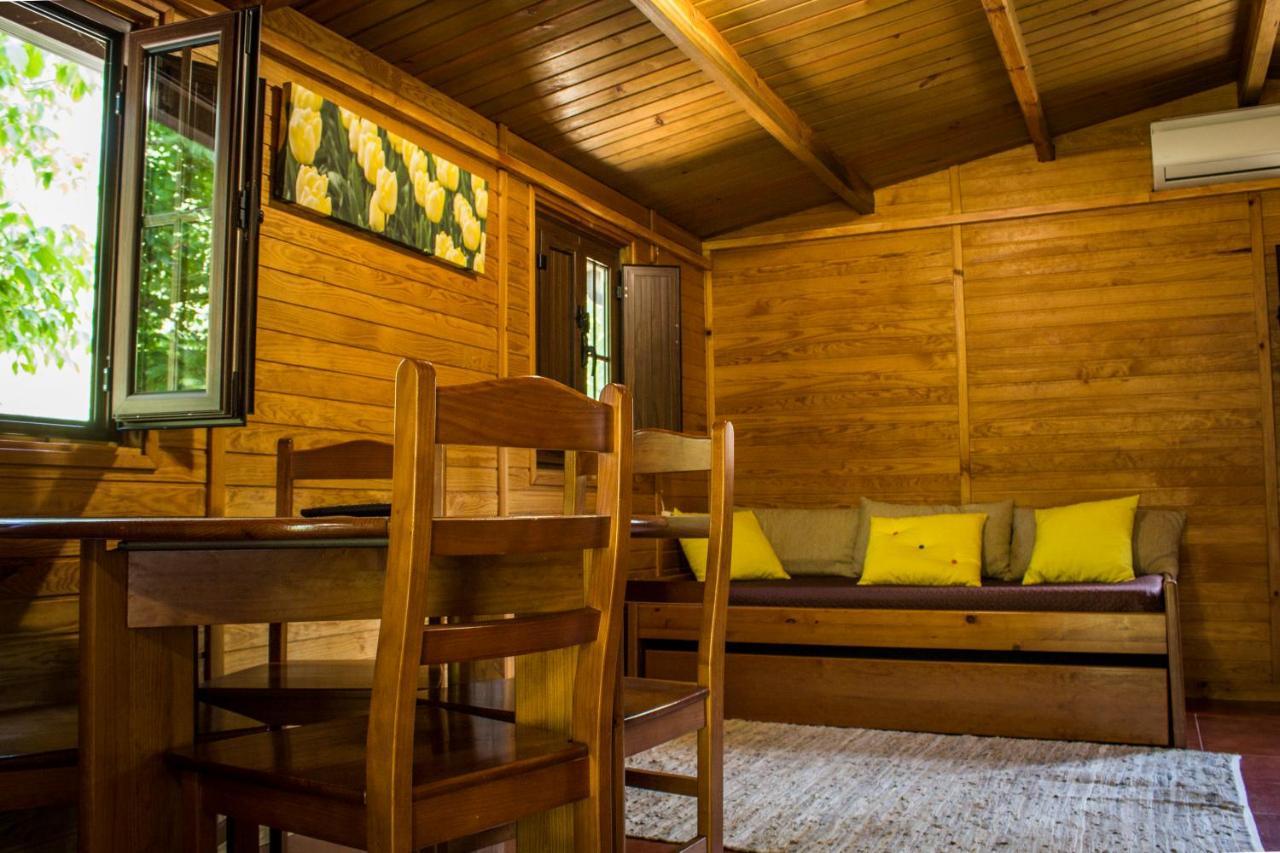 Xisto Camping Janeiro de Baixo Kültér fotó