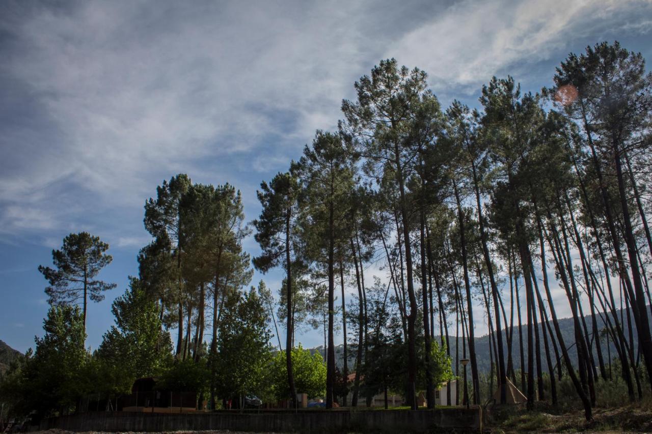 Xisto Camping Janeiro de Baixo Kültér fotó